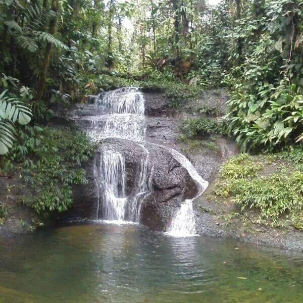 Отель Casa Hospedaje Mayesty San Cipriano Экстерьер фото